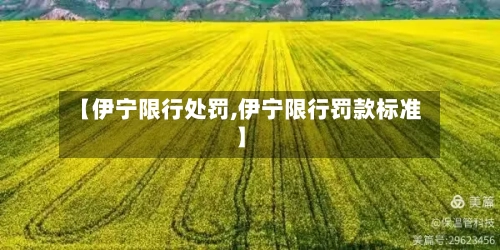 【伊宁限行处罚,伊宁限行罚款标准】-第3张图片
