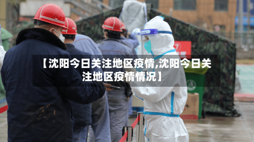 【沈阳今日关注地区疫情,沈阳今日关注地区疫情情况】-第2张图片