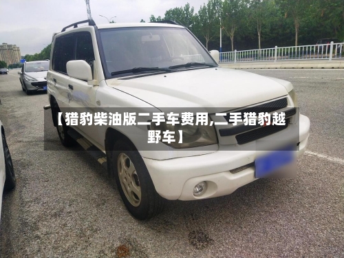 【猎豹柴油版二手车费用,二手猎豹越野车】-第3张图片