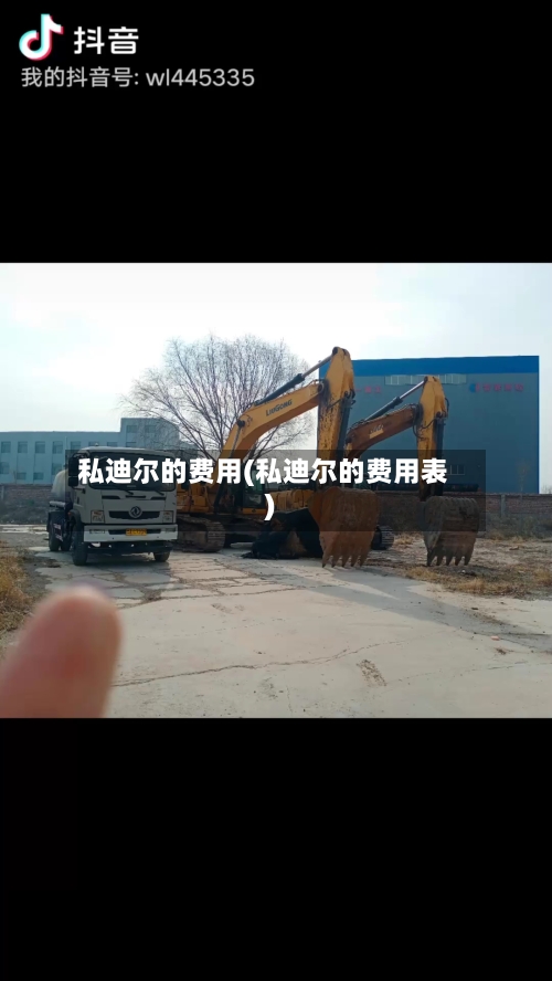 私迪尔的费用(私迪尔的费用表)-第2张图片
