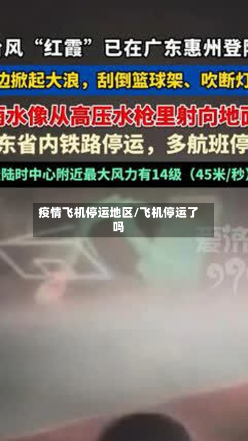 疫情飞机停运地区/飞机停运了吗-第2张图片