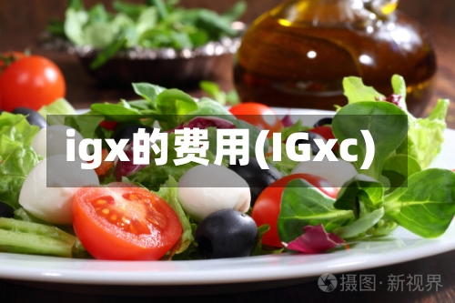 igx的费用(IGxc)-第2张图片