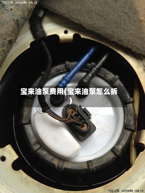 宝来油泵费用(宝来油泵怎么拆)