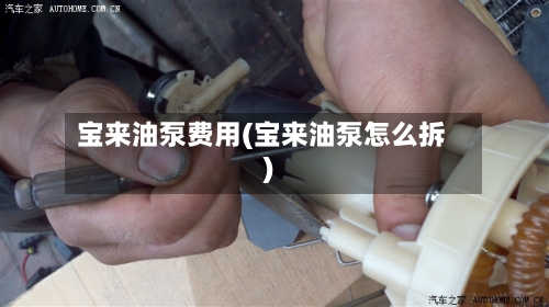 宝来油泵费用(宝来油泵怎么拆)-第3张图片