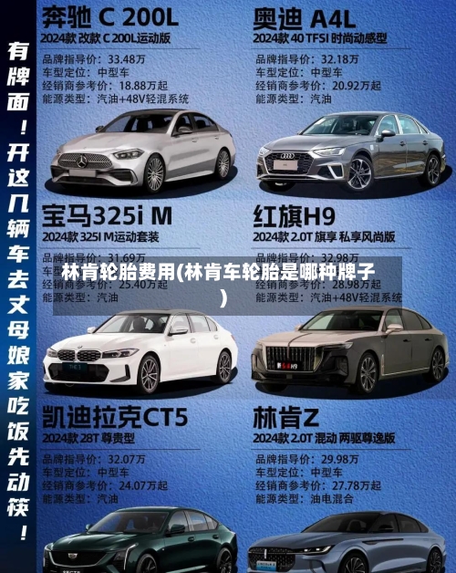 林肯轮胎费用(林肯车轮胎是哪种牌子)