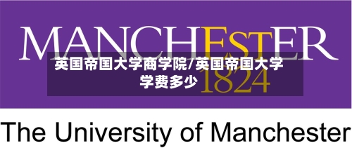 英国帝国大学商学院/英国帝国大学学费多少-第2张图片