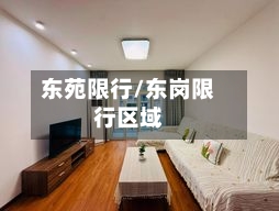 东苑限行/东岗限行区域