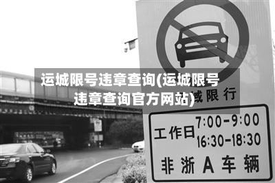 运城限号违章查询(运城限号违章查询官方网站)-第3张图片