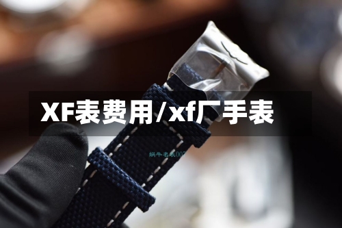 XF表费用/xf厂手表-第2张图片