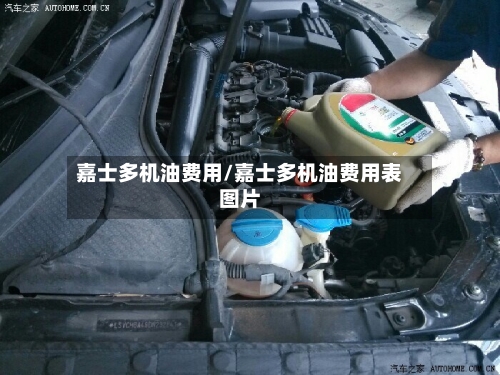 嘉士多机油费用/嘉士多机油费用表图片