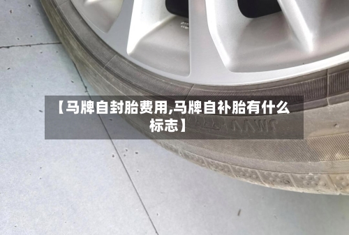 【马牌自封胎费用,马牌自补胎有什么标志】-第2张图片
