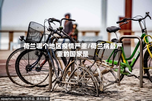 荷兰哪个地区疫情严重/荷兰病最严重的国家是-第2张图片