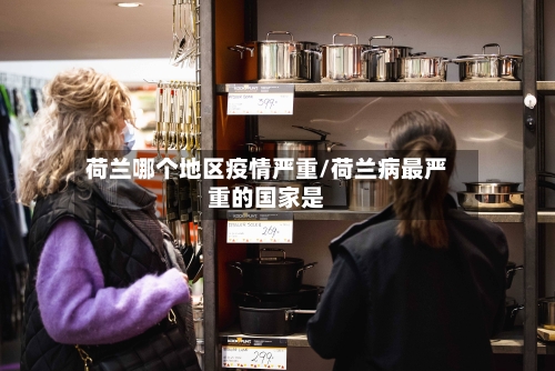 荷兰哪个地区疫情严重/荷兰病最严重的国家是-第3张图片