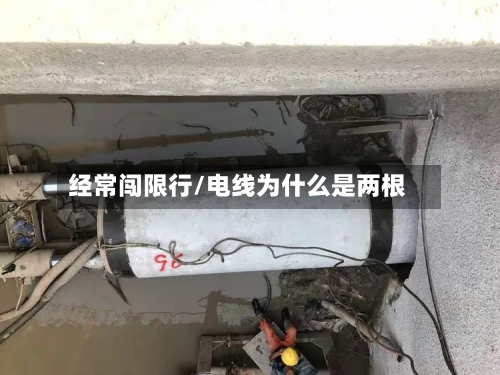 经常闯限行/电线为什么是两根-第2张图片