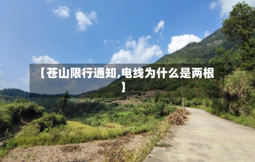 【苍山限行通知,电线为什么是两根】-第2张图片