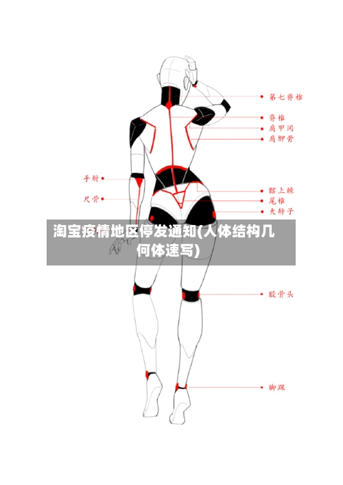 淘宝疫情地区停发通知(人体结构几何体速写)