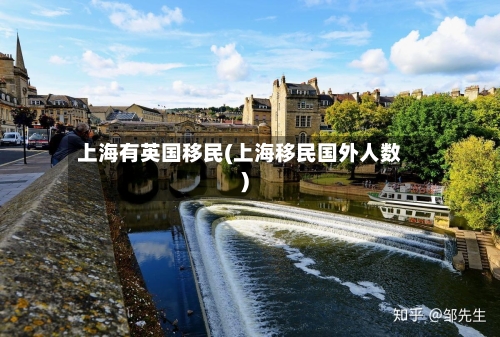 上海有英国移民(上海移民国外人数)-第2张图片