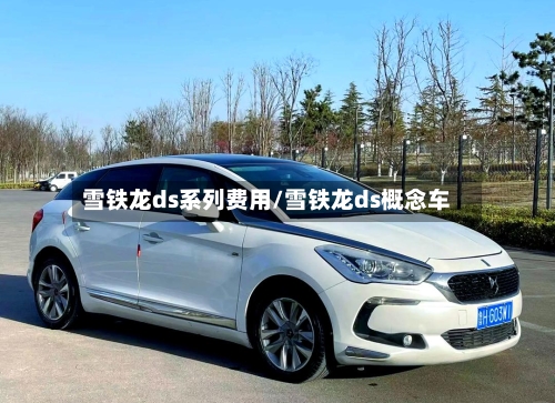 雪铁龙ds系列费用/雪铁龙ds概念车-第3张图片