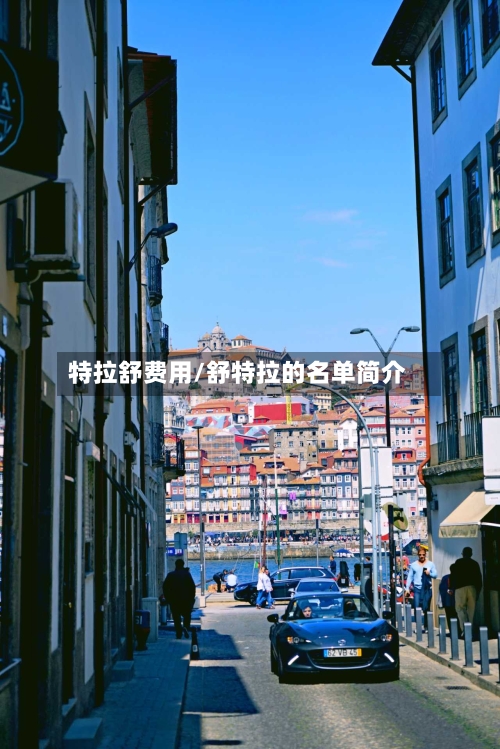 特拉舒费用/舒特拉的名单简介-第3张图片