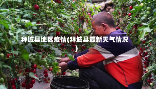 拜城县地区疫情(拜城县最新天气情况)