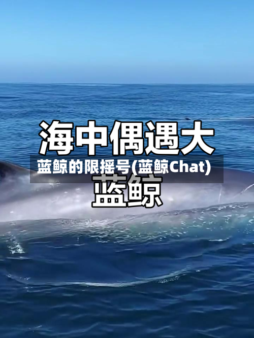 蓝鲸的限摇号(蓝鲸Chat)