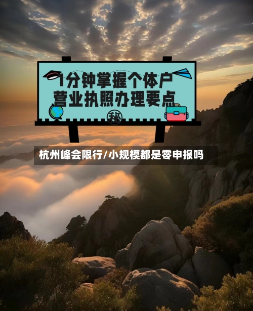 杭州峰会限行/小规模都是零申报吗