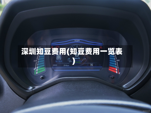 深圳知豆费用(知豆费用一览表)-第3张图片