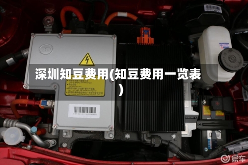深圳知豆费用(知豆费用一览表)
