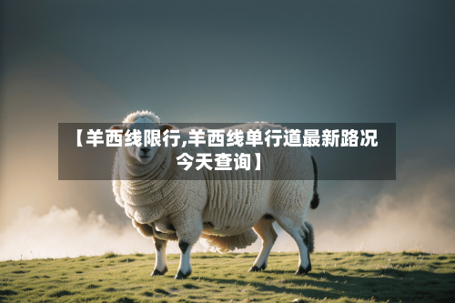 【羊西线限行,羊西线单行道最新路况今天查询】-第2张图片