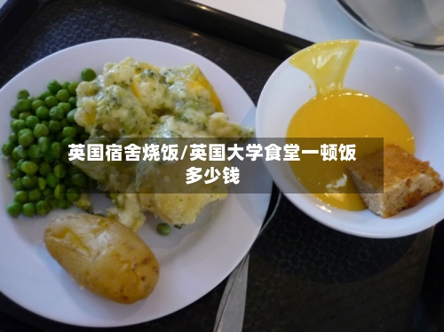 英国宿舍烧饭/英国大学食堂一顿饭多少钱-第3张图片