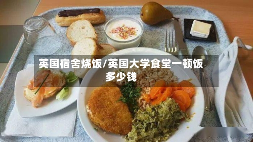 英国宿舍烧饭/英国大学食堂一顿饭多少钱