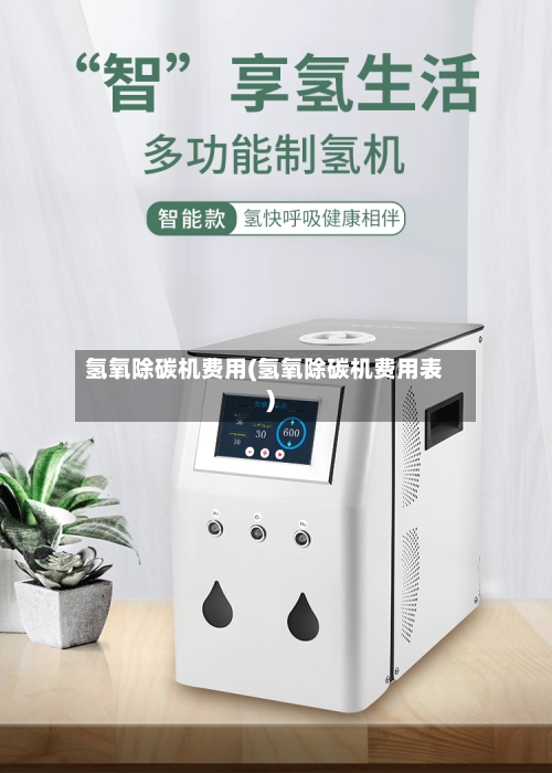 氢氧除碳机费用(氢氧除碳机费用表)