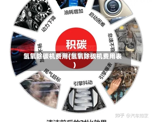 氢氧除碳机费用(氢氧除碳机费用表)-第2张图片