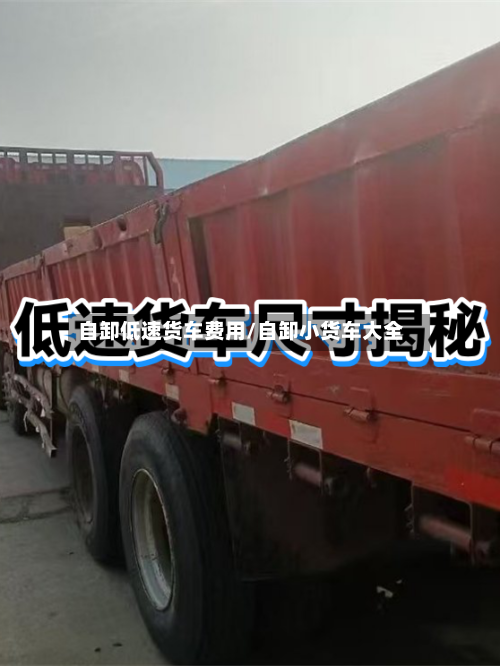 自卸低速货车费用/自卸小货车大全