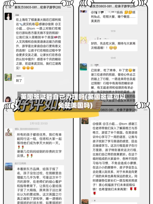 英国签证能自己办理吗(英国签证可以免签美国吗)-第2张图片