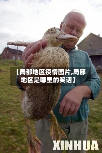 【局部地区疫情图片,局部地区是哪里的笑话】-第3张图片