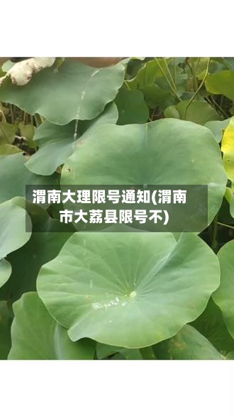 渭南大理限号通知(渭南市大荔县限号不)-第2张图片