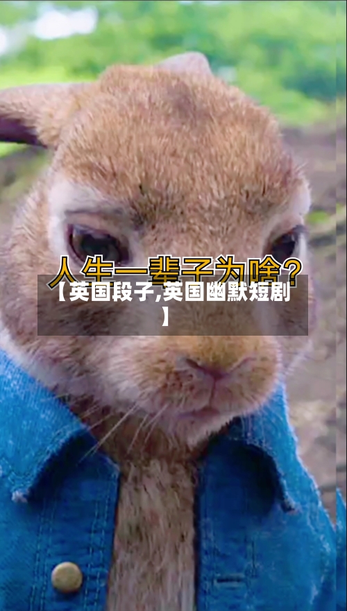 【英国段子,英国幽默短剧】-第2张图片
