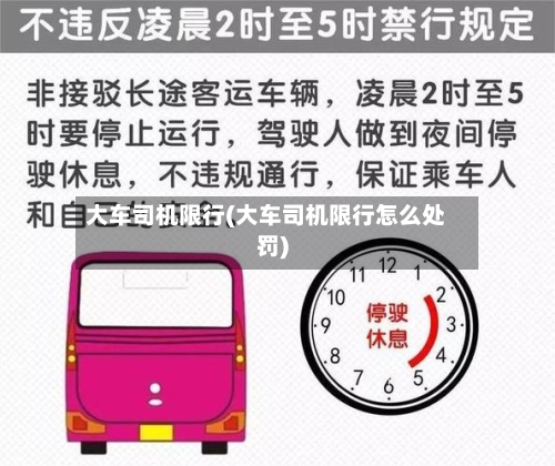 大车司机限行(大车司机限行怎么处罚)-第3张图片