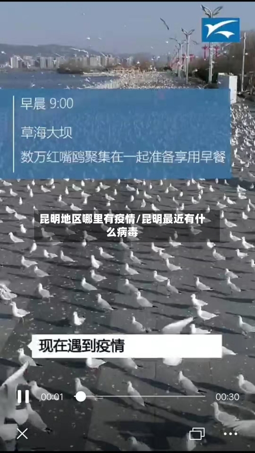 昆明地区哪里有疫情/昆明最近有什么病毒