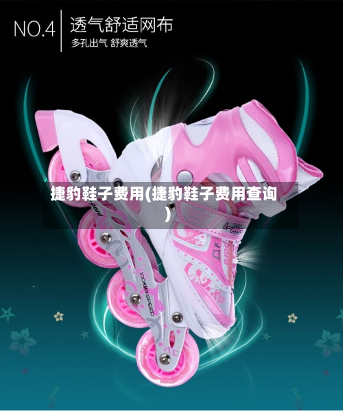 捷豹鞋子费用(捷豹鞋子费用查询)