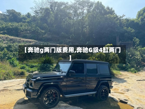 【奔驰g两门版费用,奔驰G级4缸两门】-第3张图片