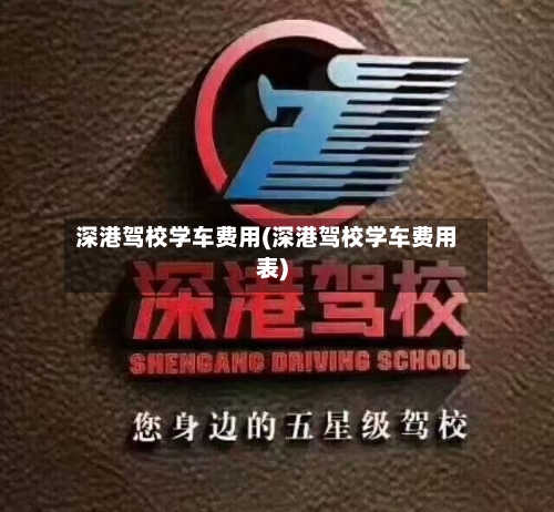 深港驾校学车费用(深港驾校学车费用表)