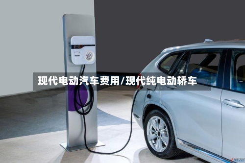 现代电动汽车费用/现代纯电动轿车-第2张图片