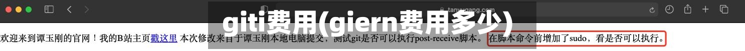 giti费用(giern费用多少)