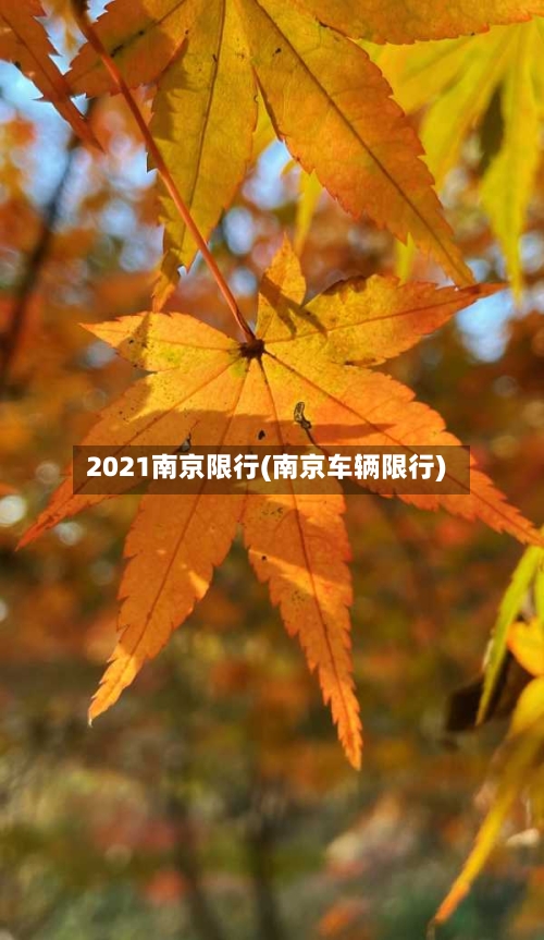 2021南京限行(南京车辆限行)-第3张图片