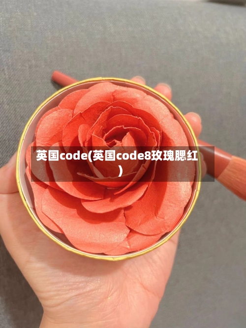 英国code(英国code8玫瑰腮红)-第2张图片