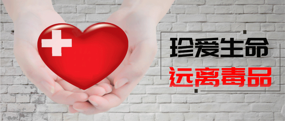 西安疫情最新通报地区(西安疫情最新动态)-第2张图片