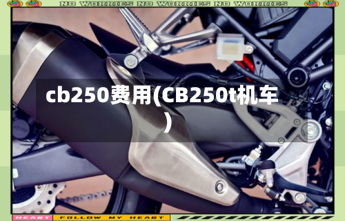 cb250费用(CB250t机车)-第2张图片