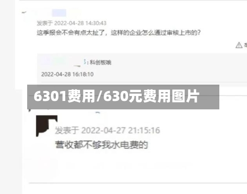 6301费用/630元费用图片
